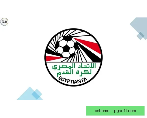 2025非洲杯倒计时摩洛哥新建现代化球场全面开工引发关注
